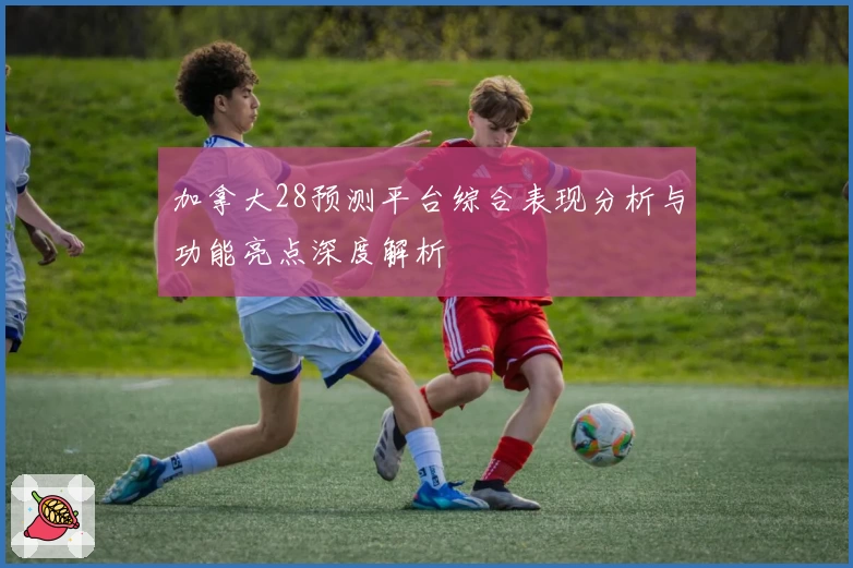 加拿大28预测平台综合表现分析与功能亮点深度解析