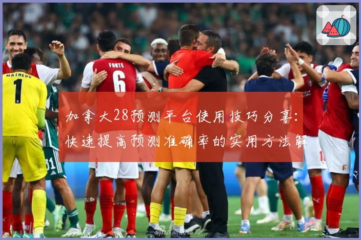 加拿大28预测平台使用技巧分享:快速提高预测准确率的实用方法解析