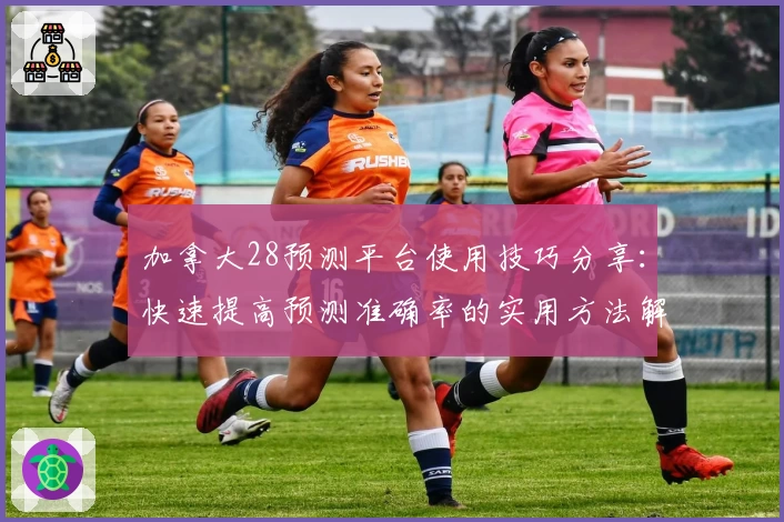 加拿大28预测平台使用技巧分享：快速提高预测准确率的实用方法解析