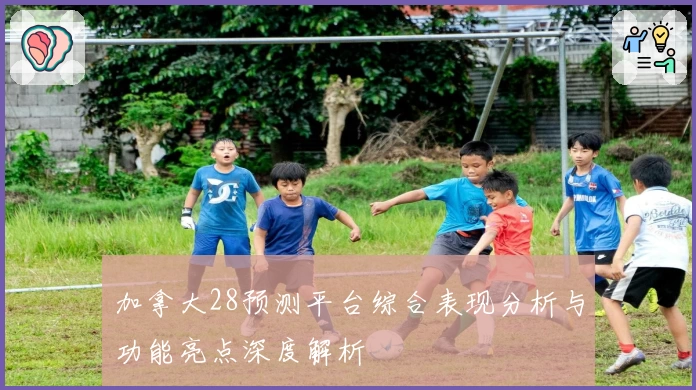 加拿大28预测平台综合表现分析与功能亮点深度解析