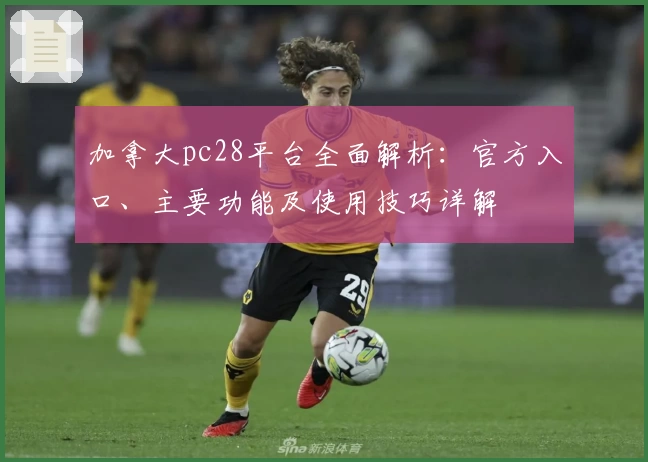 加拿大pc28平台全面解析：官方入口、主要功能及使用技巧详解