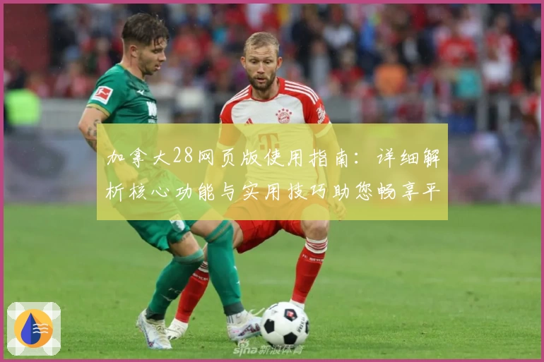 加拿大28网页版使用指南：详细解析核心功能与实用技巧助您畅享平台体验