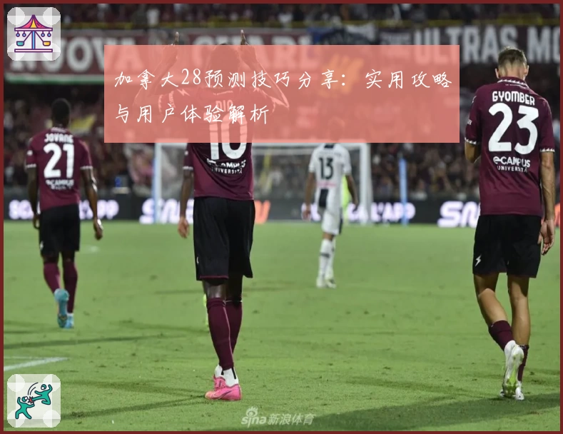 加拿大28预测技巧分享：实用攻略与用户体验解析