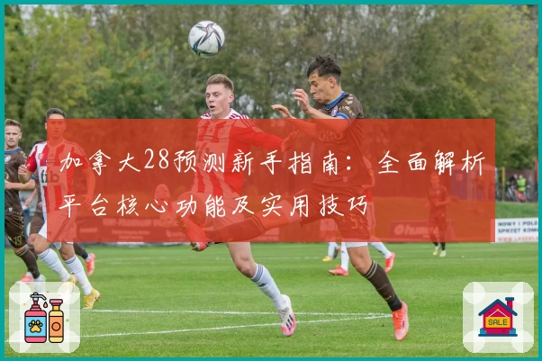 加拿大28预测新手指南：全面解析平台核心功能及实用技巧