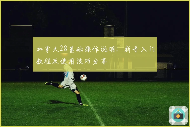加拿大28基础操作说明：新手入门教程及使用技巧分享