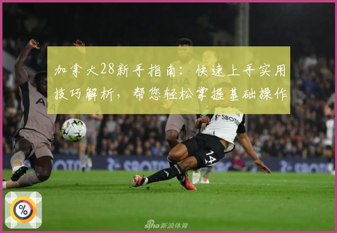 加拿大28新手指南：快速上手实用技巧解析，帮您轻松掌握基础操作诀窍