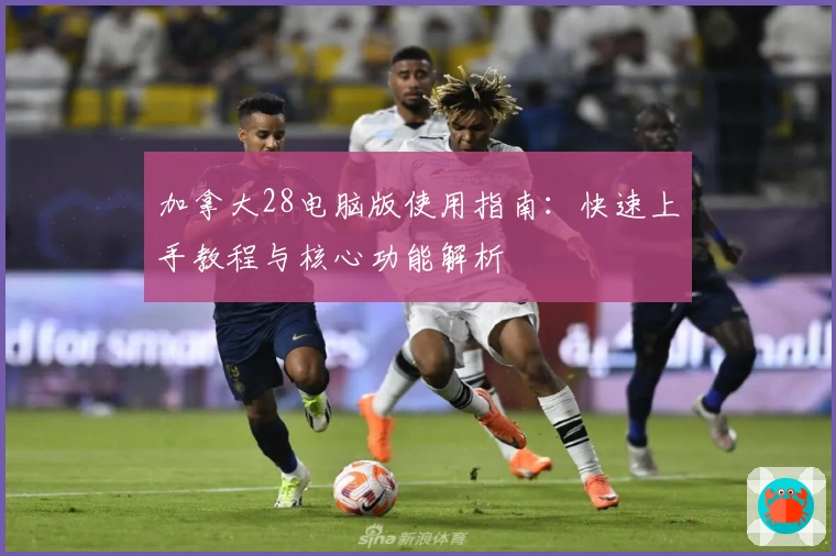 加拿大28电脑版使用指南：快速上手教程与核心功能解析