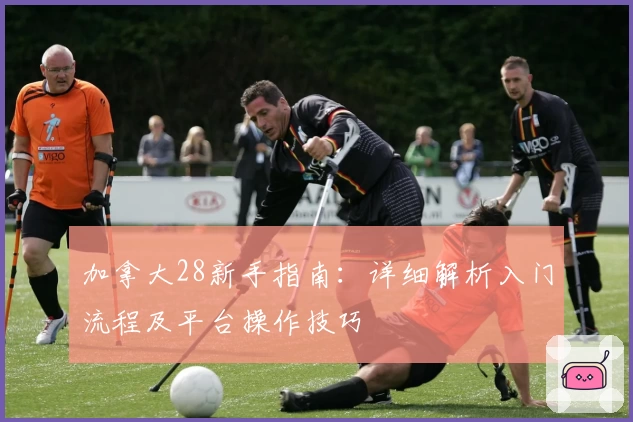 加拿大28新手指南：详细解析入门流程及平台操作技巧