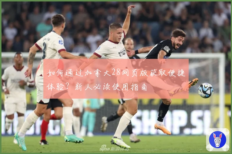 如何通过加拿大28网页版获取便捷体验？新人必读使用指南